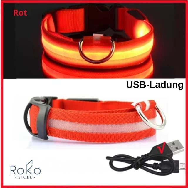 LED Leuchthalsband für Hunde – Wiederaufladbar, Verstellbar