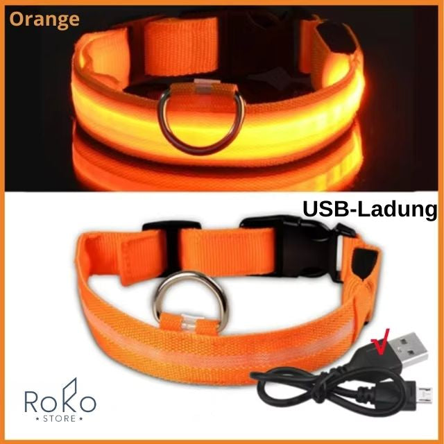 LED Leuchthalsband für Hunde – Wiederaufladbar, Verstellbar