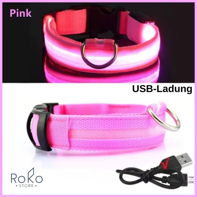 LED Leuchthalsband für Hunde – Wiederaufladbar, Verstellbar