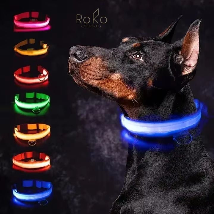 LED Leuchthalsband für Hunde – Wiederaufladbar, Verstellbar