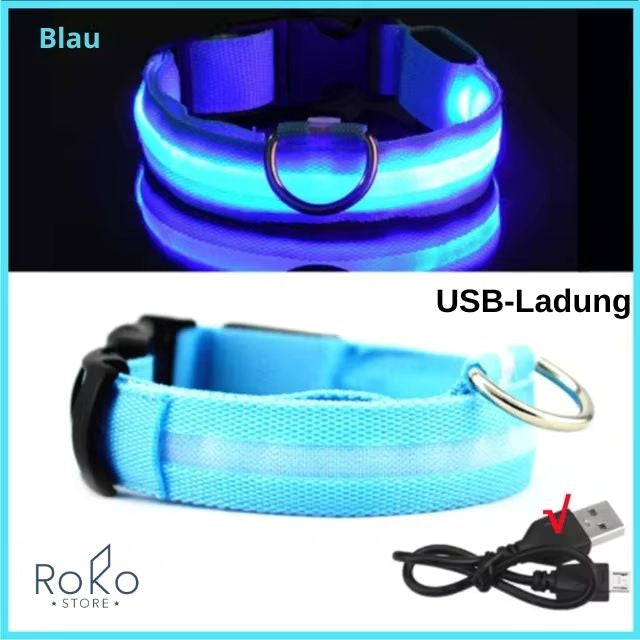 LED Leuchthalsband für Hunde – Wiederaufladbar, Verstellbar