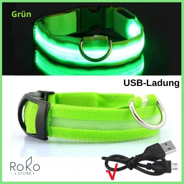 LED Leuchthalsband für Hunde – Wiederaufladbar, Verstellbar